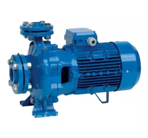 Поверхностный насос Speroni CS 65-200 В Поверхностный насос Speroni CS 65-200 В
