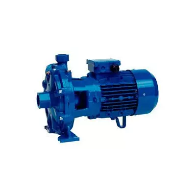 Центробежный моноблочный насос Speroni 2C 25/160B (трёхфазный)