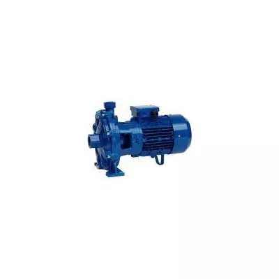 Насос Speroni 2C 25/160A
